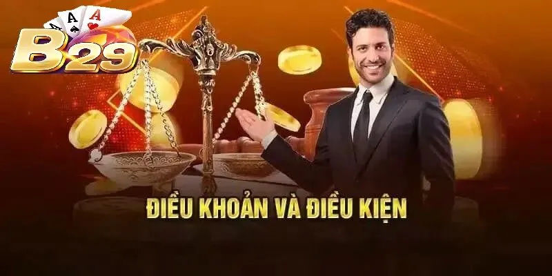 Giới thiệu chung về Điều Khoản Và Điều Kiện B29