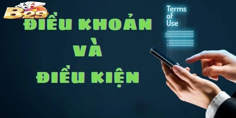 Những Điều Khoản Và Điều Kiện sử dụng khác trên cổng game B29