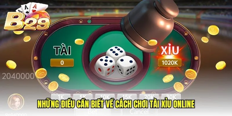 Những điều cần biết về cách chơi Tài Xỉu B29